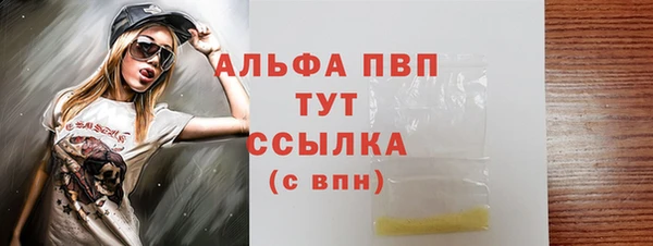ПСИЛОЦИБИНОВЫЕ ГРИБЫ Инсар