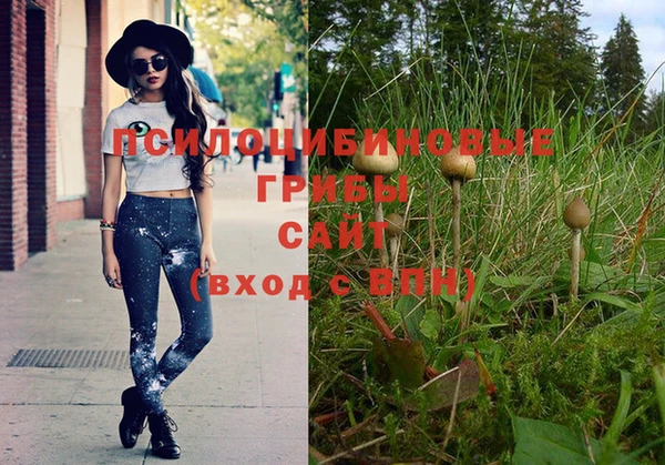 мдпв Абинск