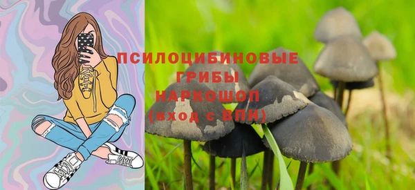шишки Алексин